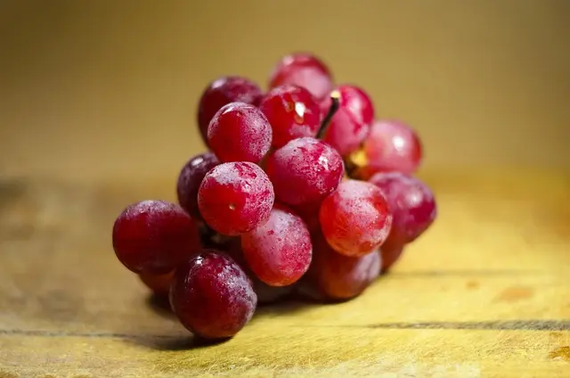 Comment Évaluer la Qualité des Apéritifs : Guide Pratique