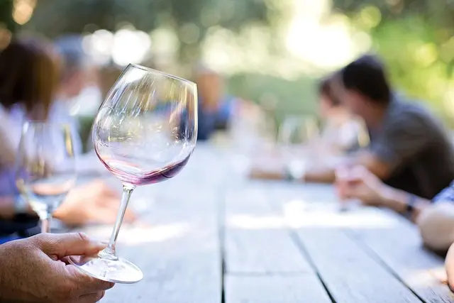 Guide Pratique pour Réussir Vos Apéritifs en Toutes Saisons