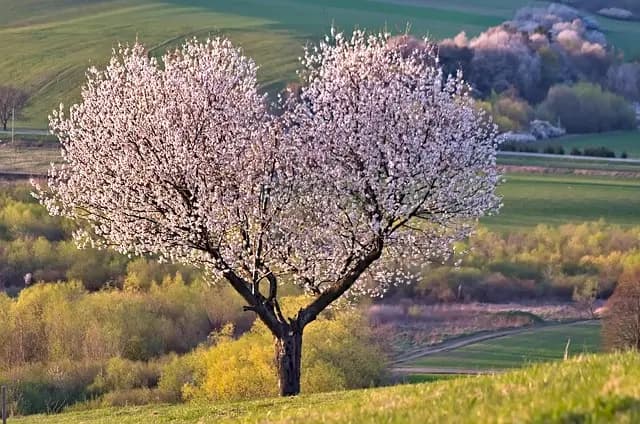 Les Apéritifs à Déguster selon les Saisons : Guide Complet